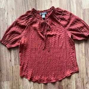 Elegant Rust Blouse with Tie Neck